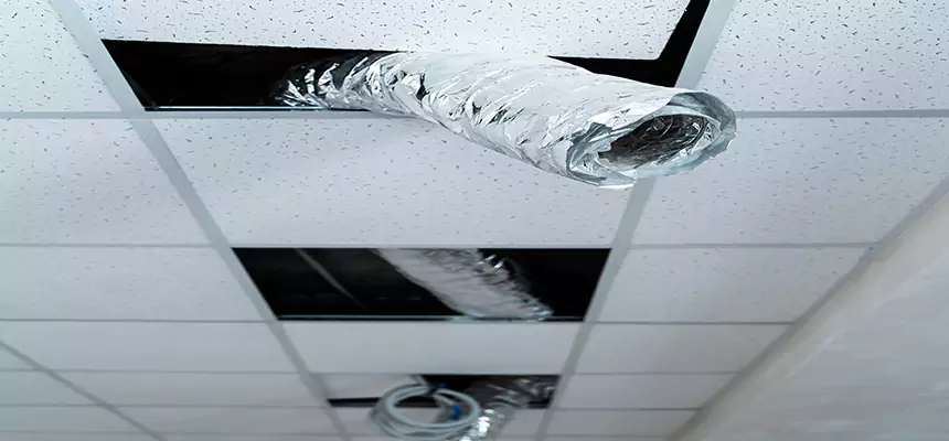 Our Air Duct Pet Hair Removal Services in Perth Amboy, NJ